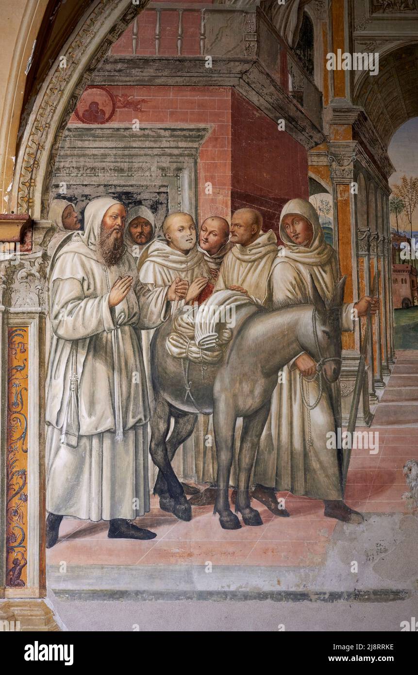 Storie di San Benedetto - Particolare da " Fiorenzo manda le meretrici al convento " - affresco - Antonio Bazzi detto il Sodoma - 1505 - Monte Olive Banque D'Images