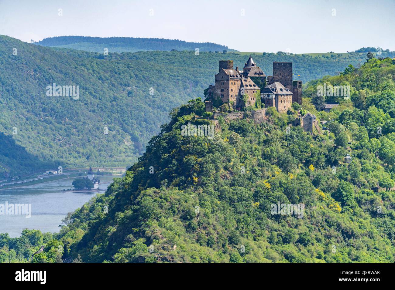 Burg Schönburg und der Rhein, Welterbe Oberes Mittelrheintal, Oberwesel, Rheinland-Pfalz, Deutschland | Château de Schönburg et le Rhin, monde Banque D'Images