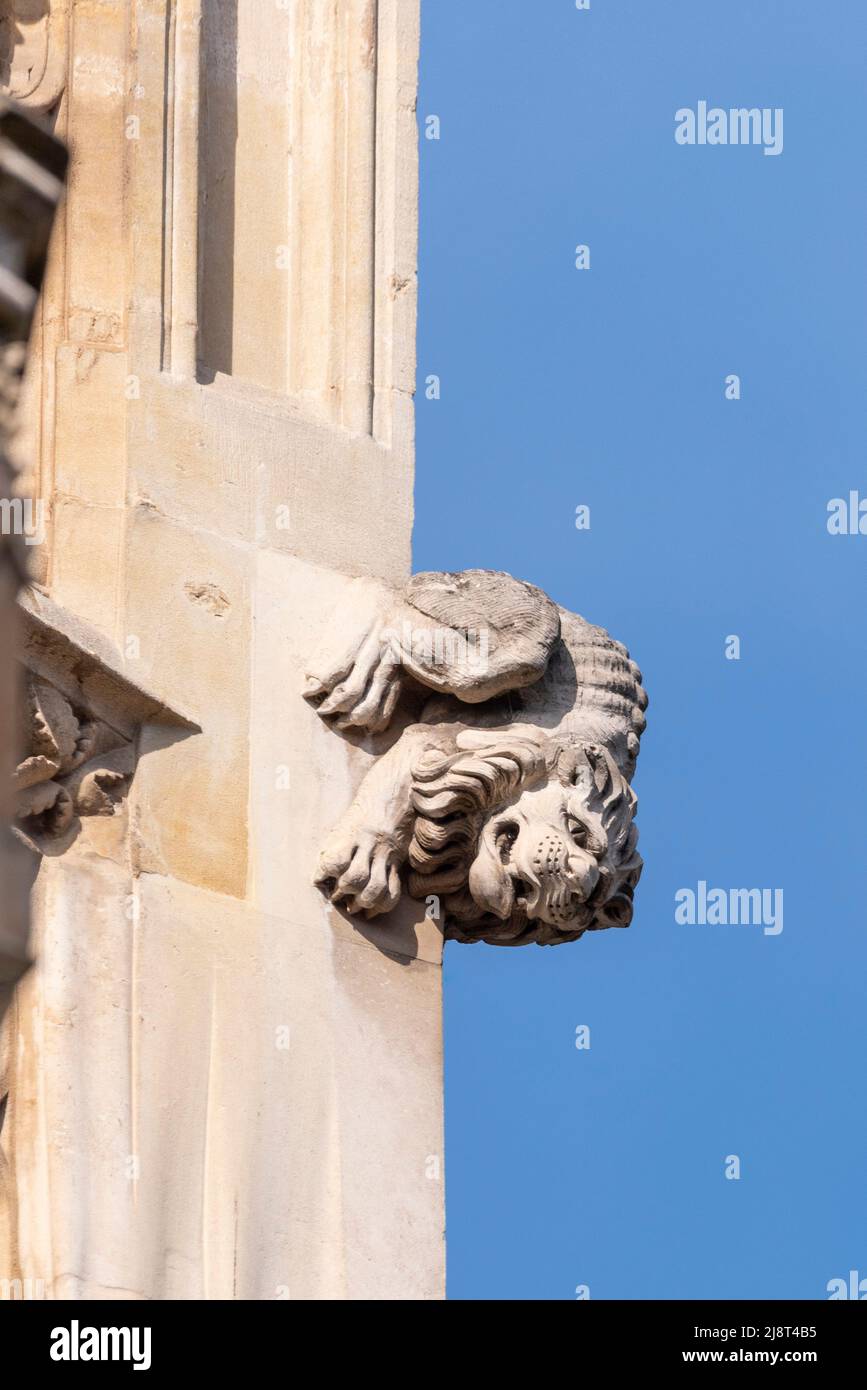 Gargoyle, détail animal sur l'abbaye de Westminster. Église abbatiale gothique de la Cité de Westminster, Londres, Royaume-Uni. Chapelle Henry VII à l'extrémité est de l'abbaye Banque D'Images