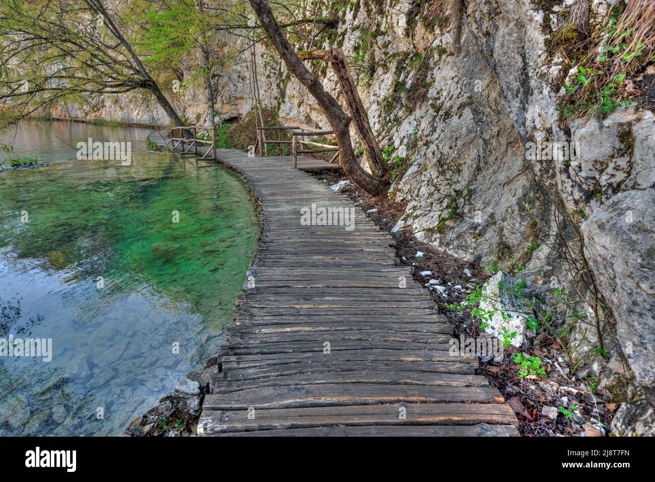 Le parc national des Lacs de Plitvice, Croatie, Europe, Lika-Senj Banque D'Images