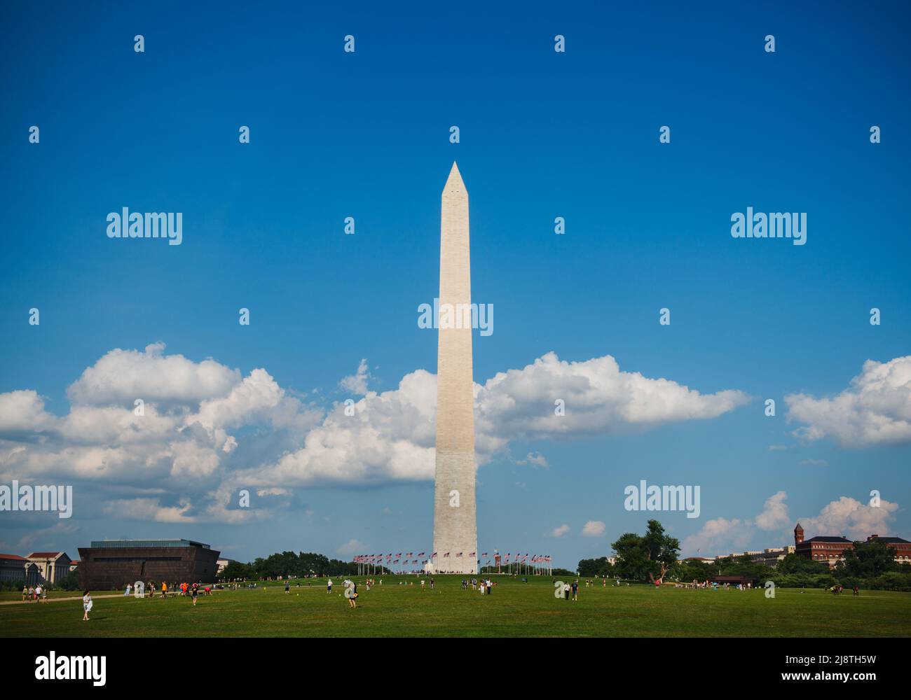 Le monument de Washington, Washington DC Banque D'Images