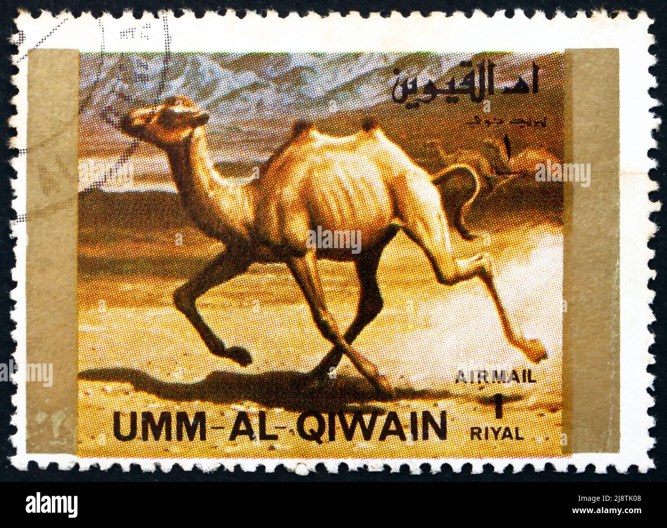 UMM AL-QUWAIN - VERS 1972 : un timbre imprimé dans l'Umm al-Quwain montre Camel, Animal, vers 1972 Banque D'Images