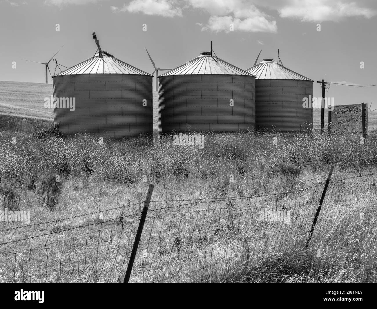 Montezuma Hills Silo dans le comté de Solano, Californie. Banque D'Images
