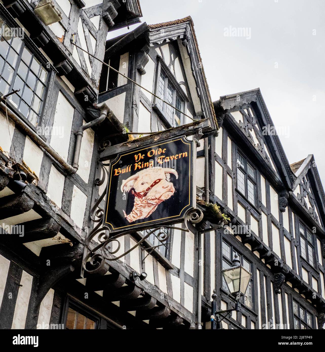 Panneau sur la taverne médiévale (1365) Ye Olde Bull Ring Tavern à Ludlow Shropshire Royaume-Uni montrant une tête de taureau Herefordshire Banque D'Images
