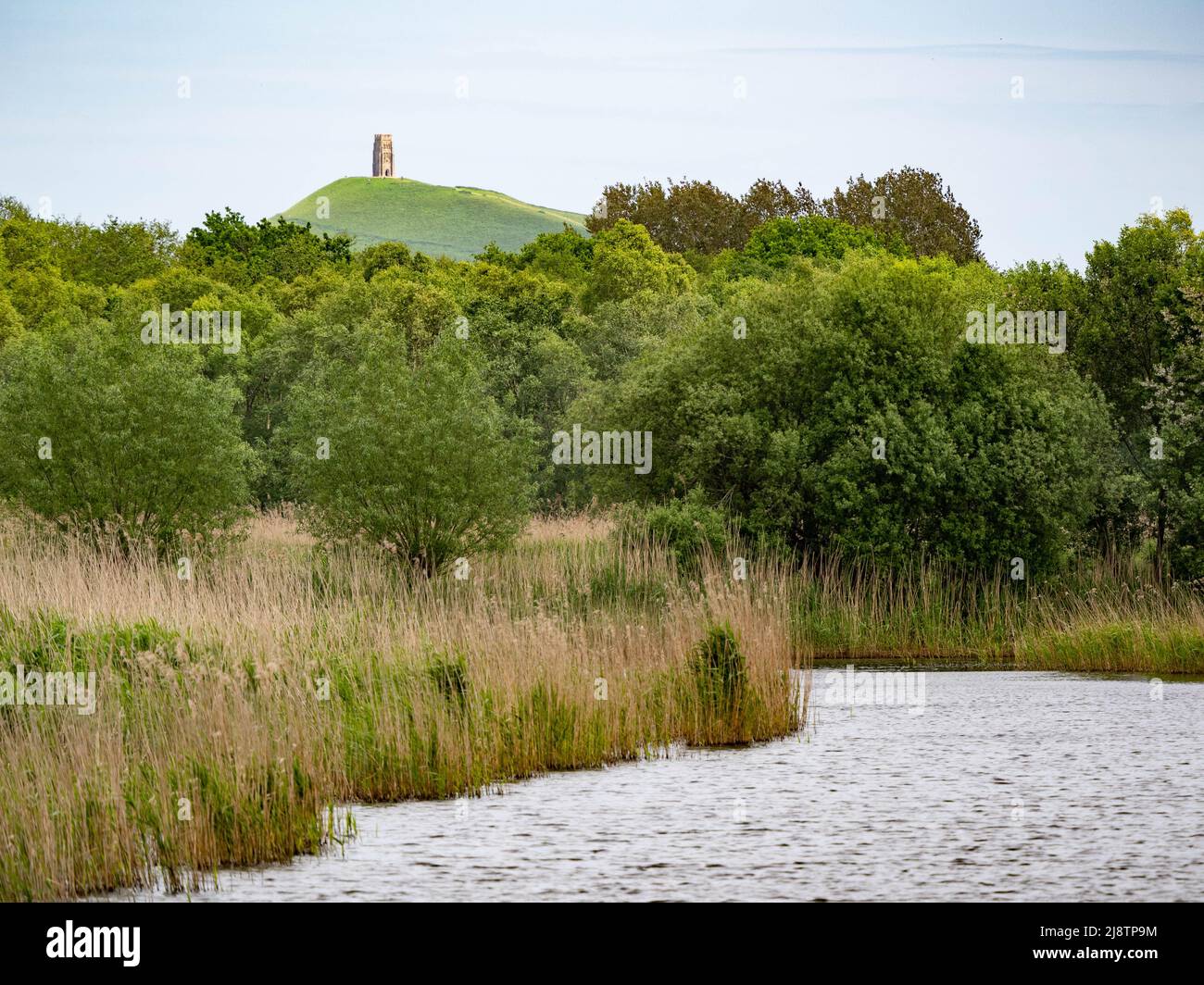 Tor de Glastonbury de Ham Wall la réserve RSPB sur Somerset Levels UK Banque D'Images