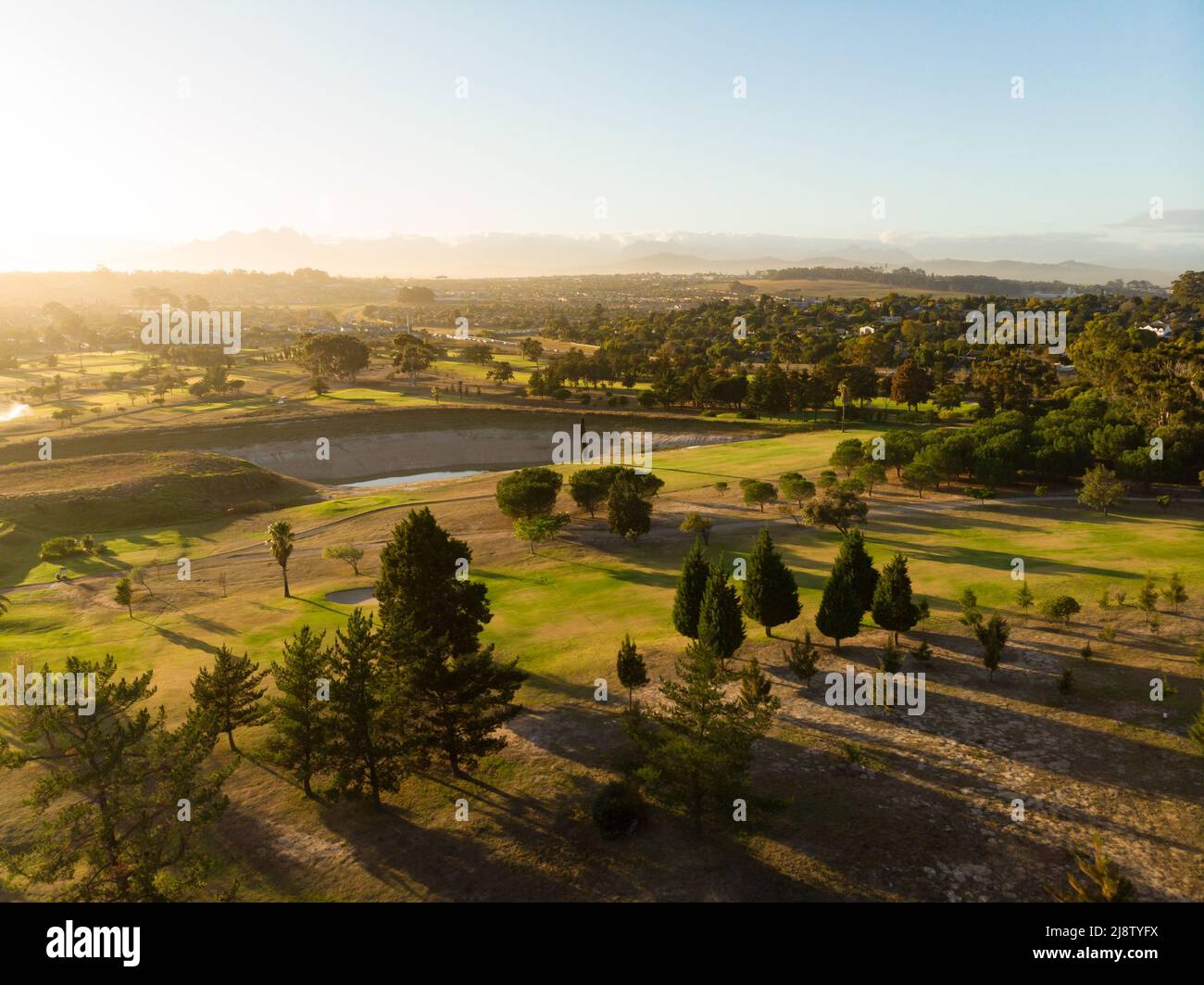 Tir de drone d'arbres poussant sur un paysage vert contre ciel clair pendant le coucher du soleil, espace de copie Banque D'Images