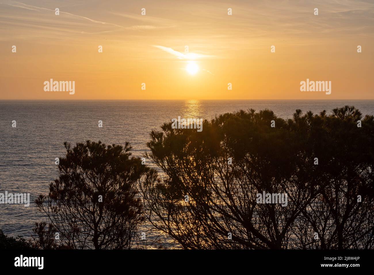 lever ou coucher de soleil sur la mer méditerranée, majorque, espagne - quelques arbres au premier plan Banque D'Images