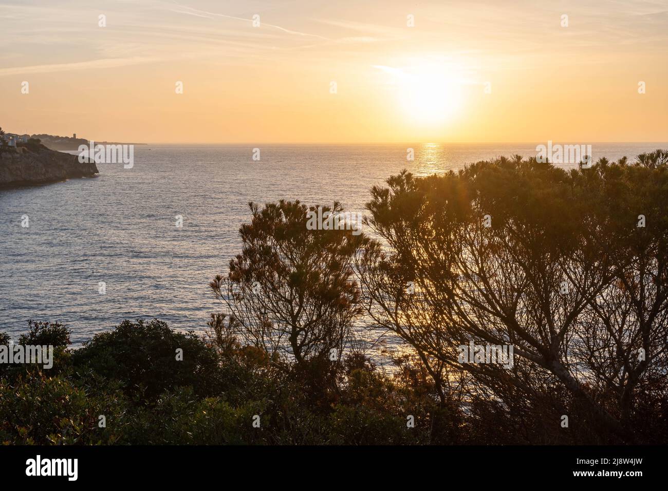 lever ou coucher de soleil sur la mer méditerranée, majorque, espagne - quelques arbres au premier plan Banque D'Images