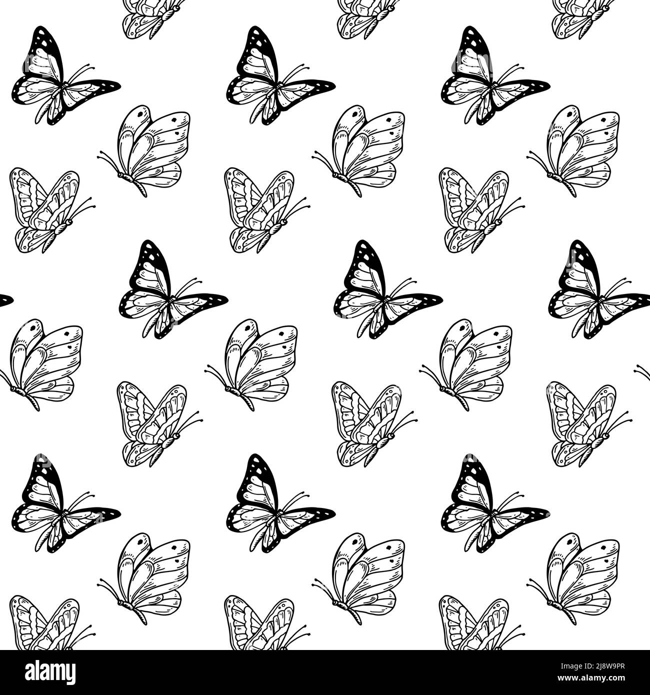 Motif papillon sans coutures. Motif été. Illustration vectorielle dessinée à la main Illustration de Vecteur