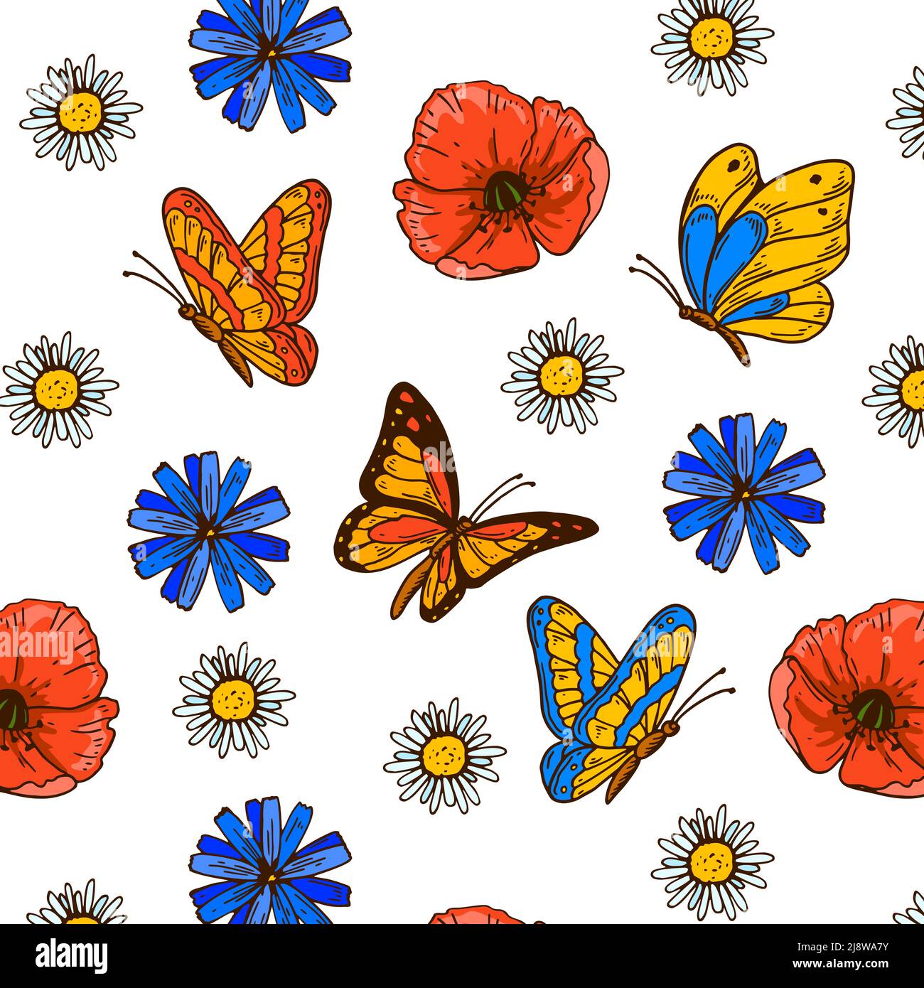 Motif papillon coloré sans couture avec coquelicots et chamomiles. Motif été. Illustration vectorielle dessinée à la main Illustration de Vecteur