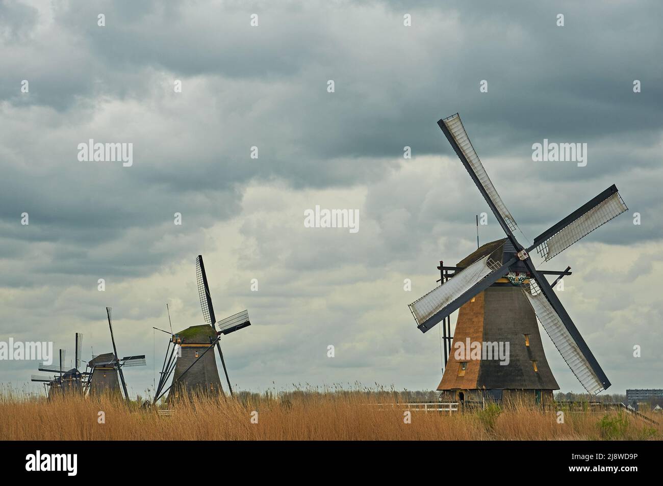 Les moulins à vent de Kinderdijk, en Hollande-Méridionale, aux pays-Bas, bordent le Molentocht. Ce site classé au patrimoine mondial de l'UNESCO se trouve au nord d'Alblasserdam. Banque D'Images