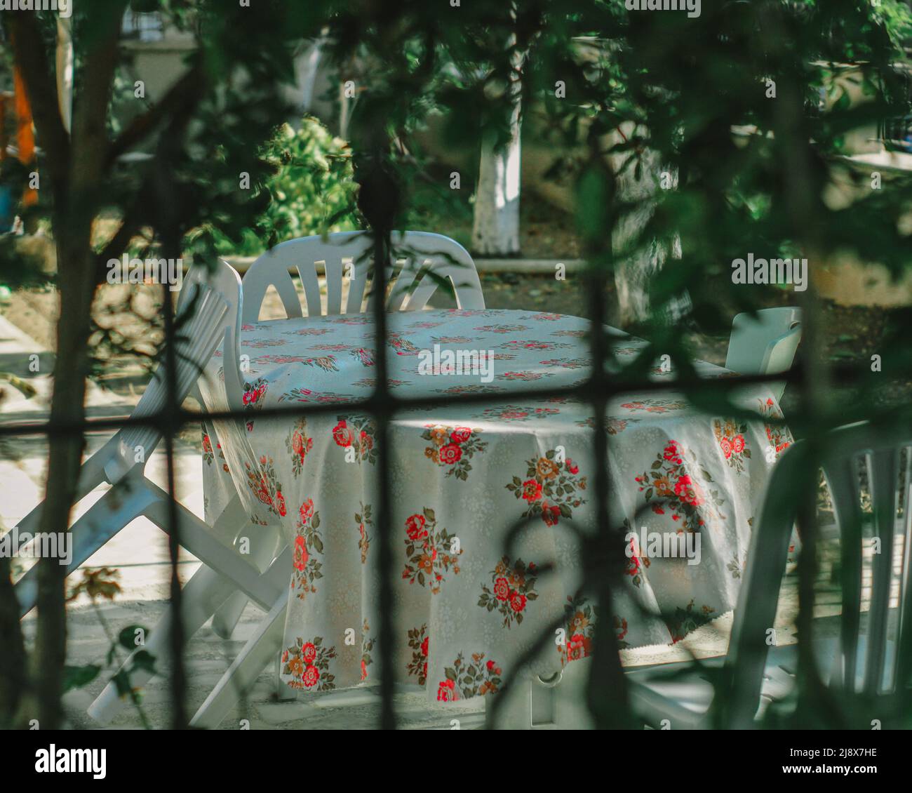 Table et chaises dans le jardin Banque D'Images