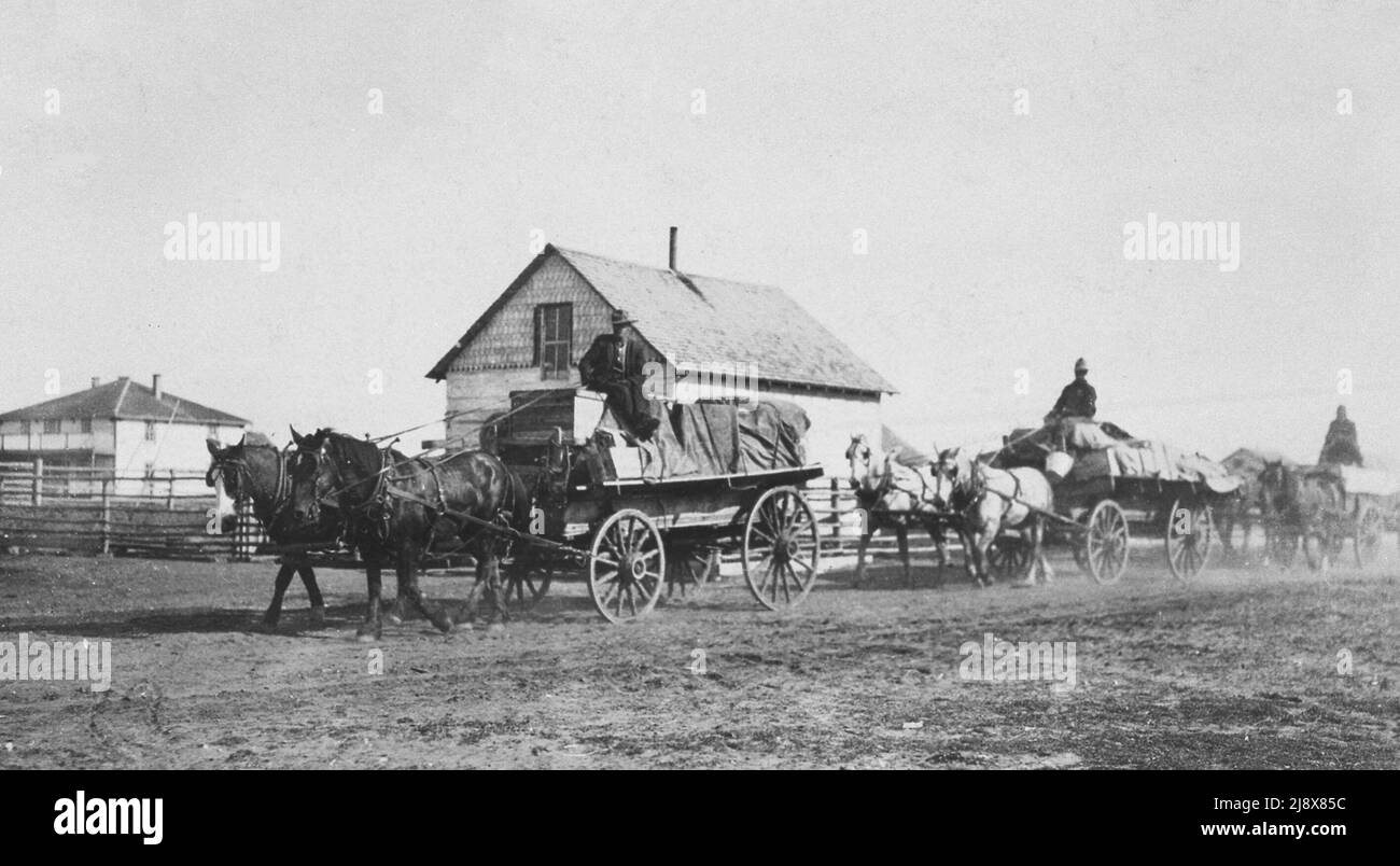 Des charrettes tirées par des chevaux permettent de faire le portage de marchandises autour des rapides infranchissables sur la rivière des esclaves. 1922 Banque D'Images