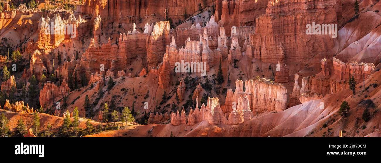 Image panoramique de plusieurs couches de gribouillages en grès capturés à Bryce point dans le parc national de Bryce Canyon, Utah. Banque D'Images