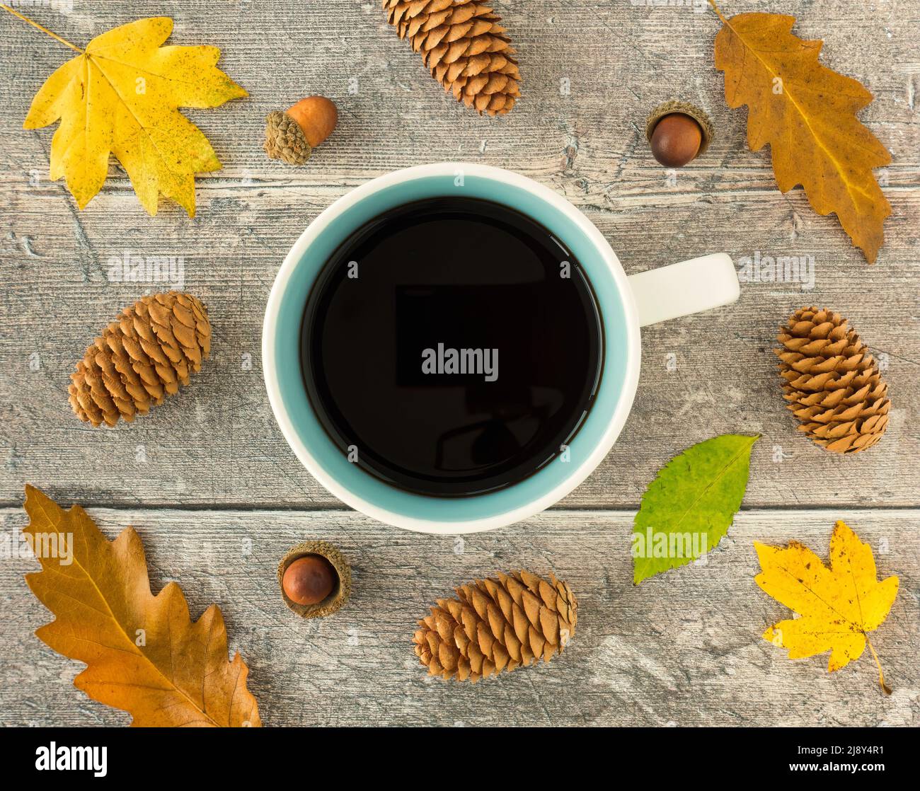 Vue de dessus d'une tasse remplie de café noir, feuilles d'automne, pommes de pin et glands sur fond de panneau de bois abîmé. Banque D'Images