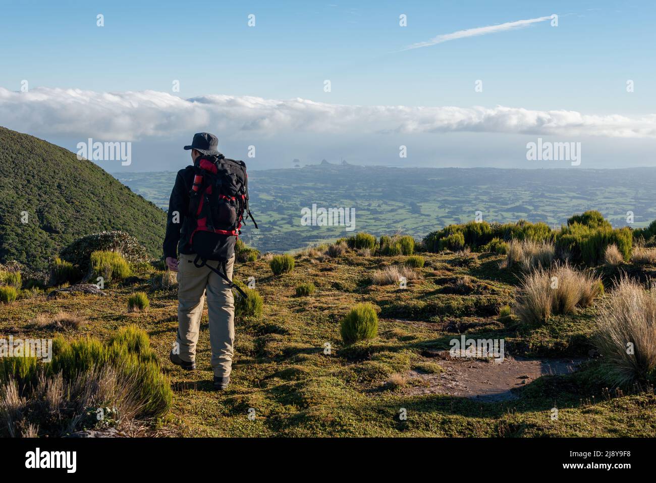 Circuit de randonnée à Pouakai avec vue sur la côte de Taranaki, parc national d'Egmont. Banque D'Images