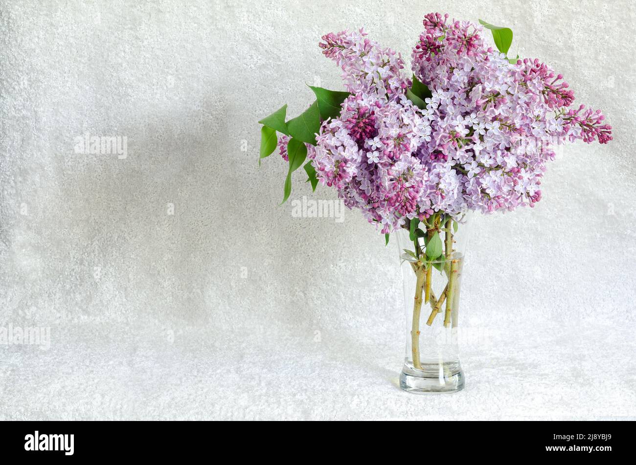 Un bouquet de fleurs lilas dans un vase en verre sur fond de velours blanc. Beaucoup d'espace pour le texte, mise au point sélective Banque D'Images