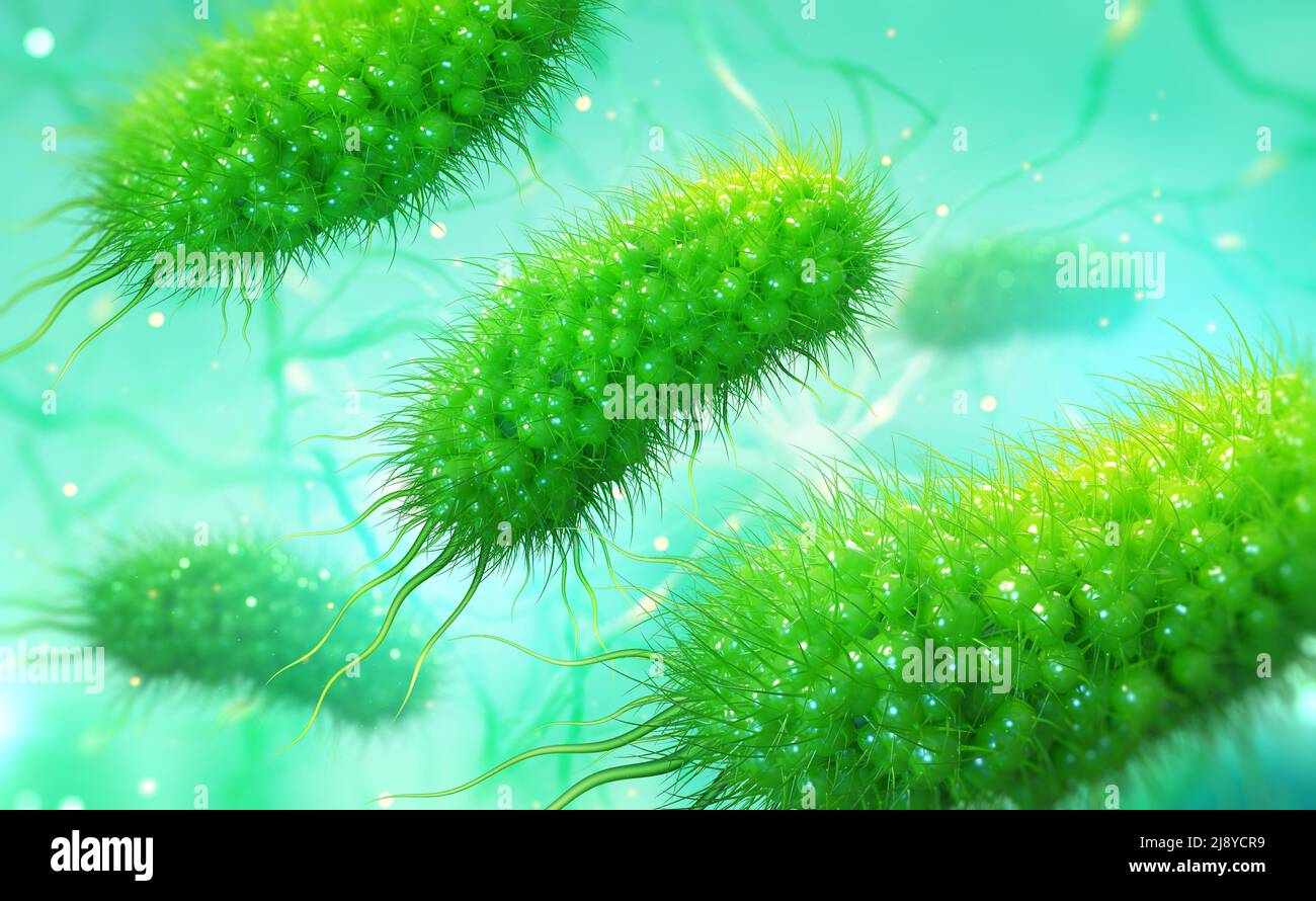 Micro-organismes sous microscope. Microbes, germes, bactéries, virus, infection, Illustration de bacilles 3D. Probiotiques. Bactéries intestinales, flore Gut Banque D'Images