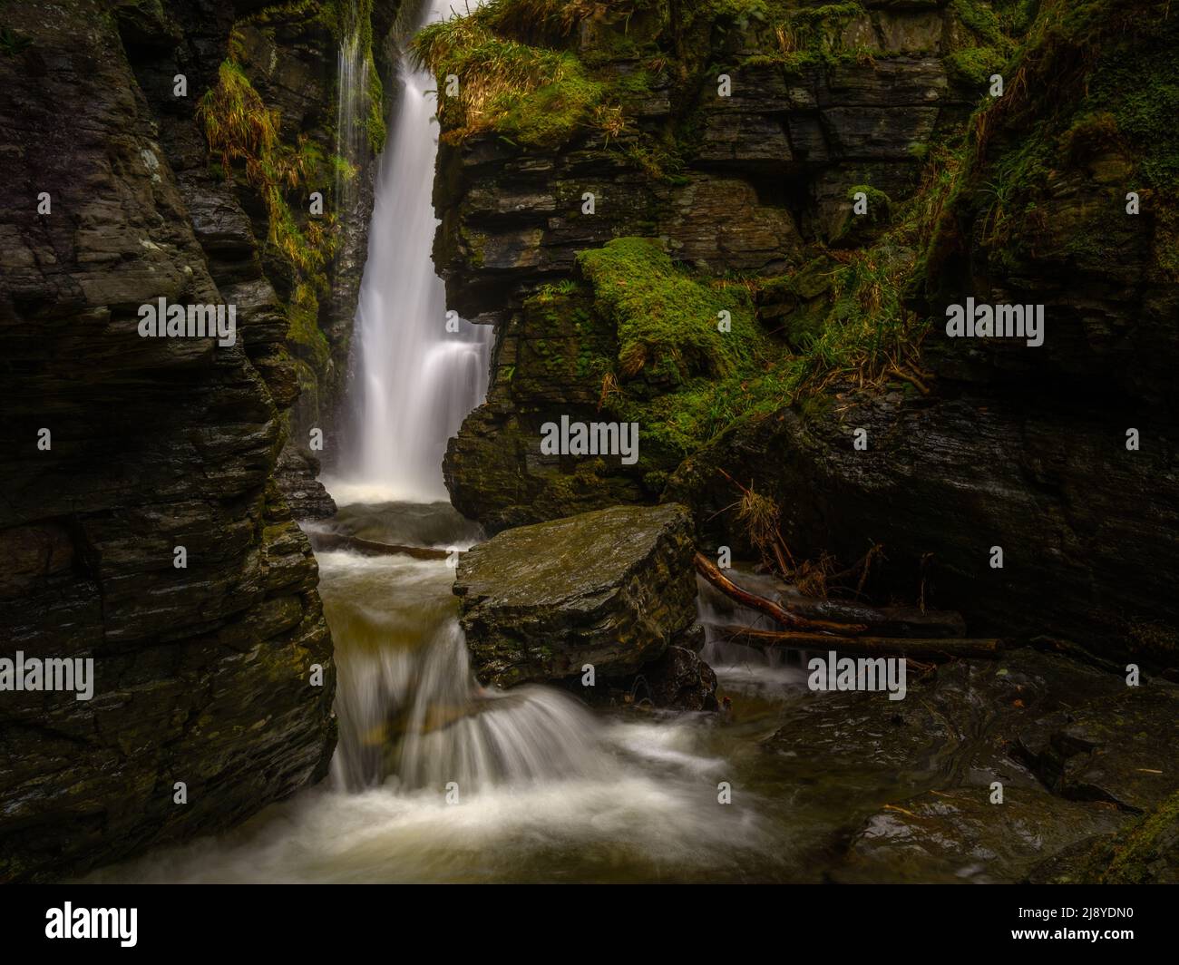 Chute d'eau de la Force de bec dans le Lake District, Royaume-Uni Banque D'Images