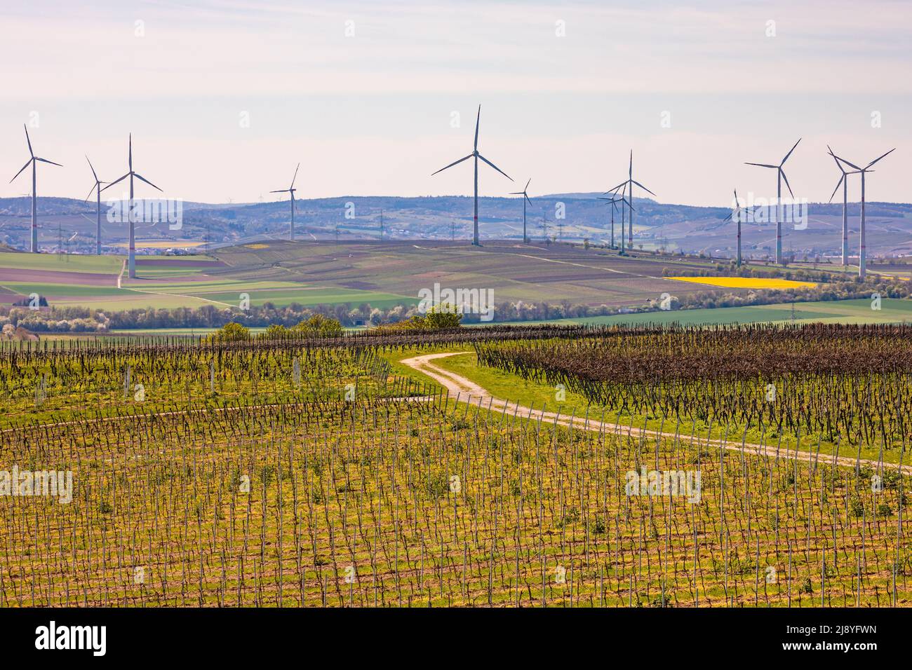 Paysage d'une région rurale avec des vignobles devant un grand nombre d'éoliennes à l'horizon en Rhénanie-Palatinat Banque D'Images