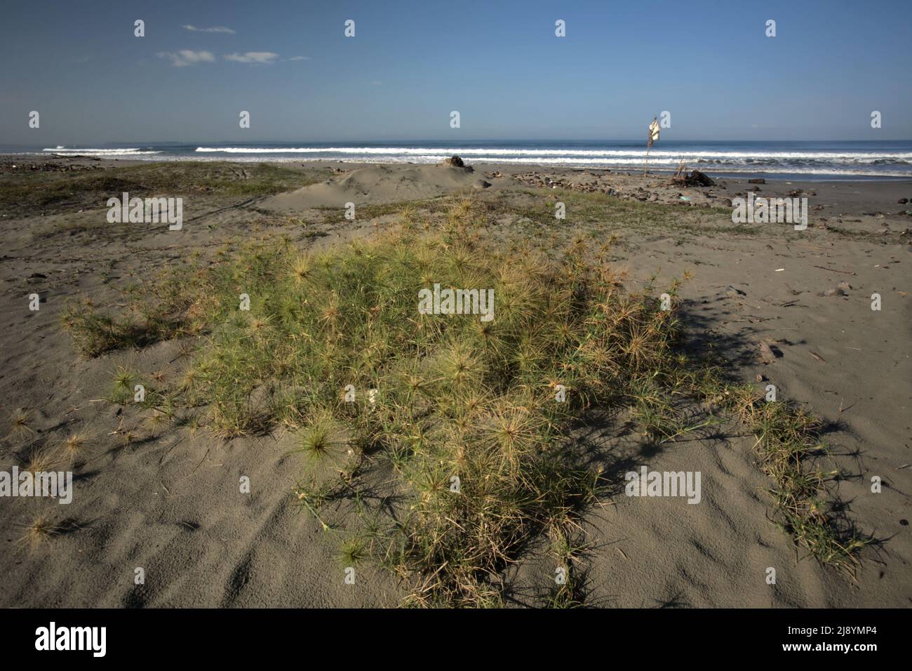 Une plage plate appelée Pantai Panjang face à l'océan Indien à Bengkulu, Sumatra, Indonésie. Banque D'Images