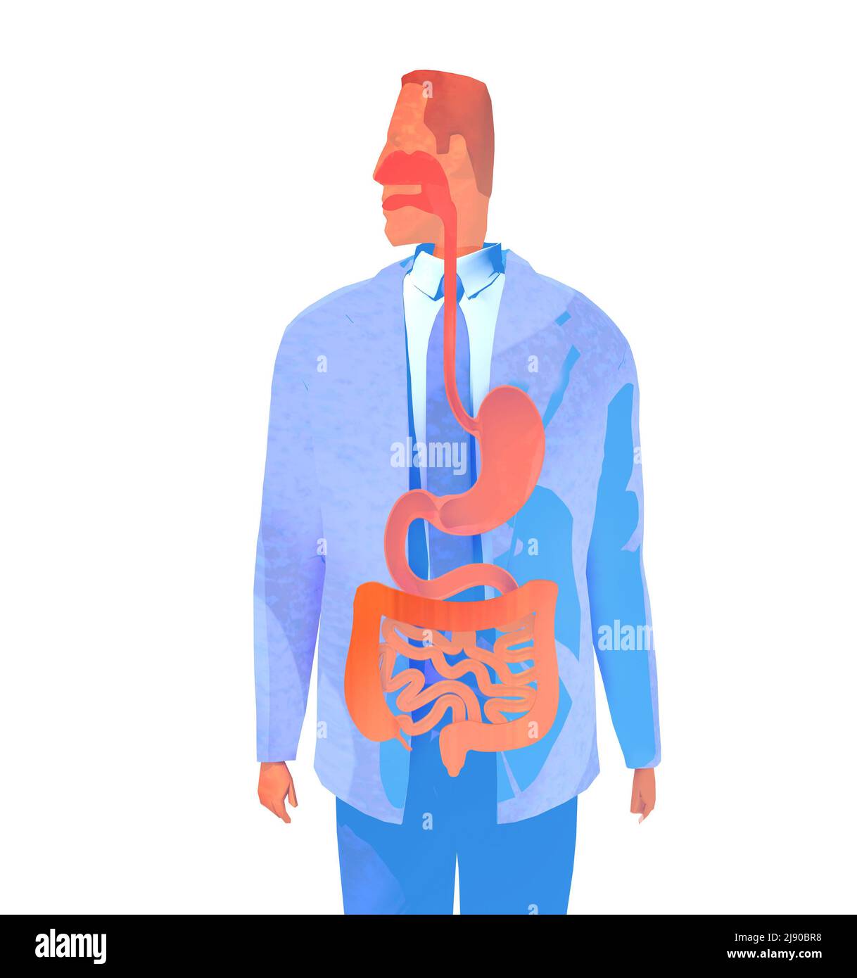 Illustration du système respiratoire humain de type aquarelle 3D. Image anatomique d'un homme vu de l'avant. Banque D'Images