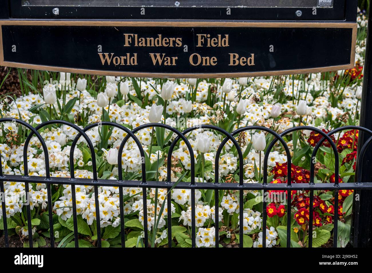 L'image est du mémorial de Flanders Field au Dingle dans les jardins de carrière de Shrewsbury et l'espace de loisirs Banque D'Images