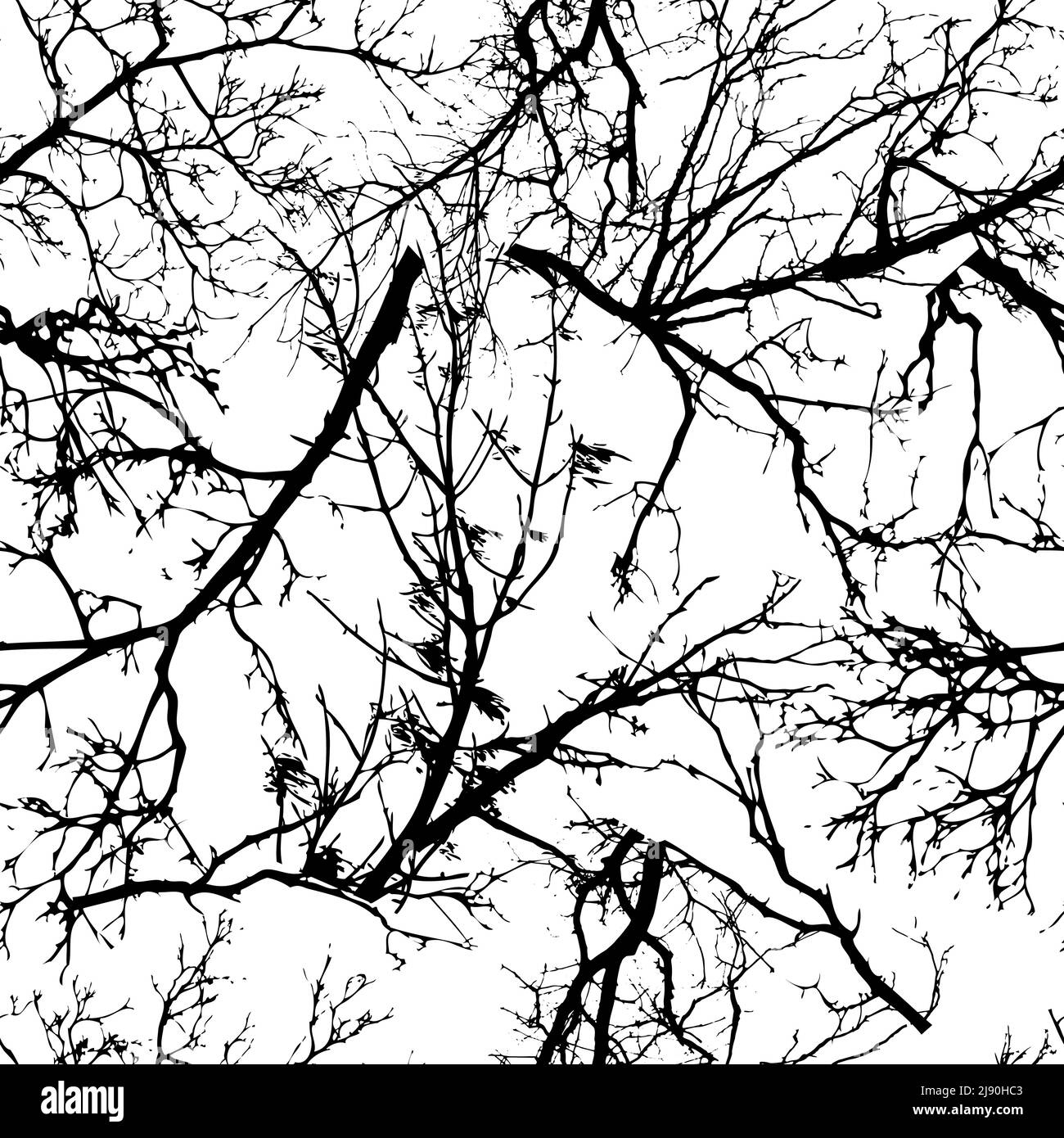 Motif sans couture des branches de l'arbre. Illustration vectorielle Illustration de Vecteur