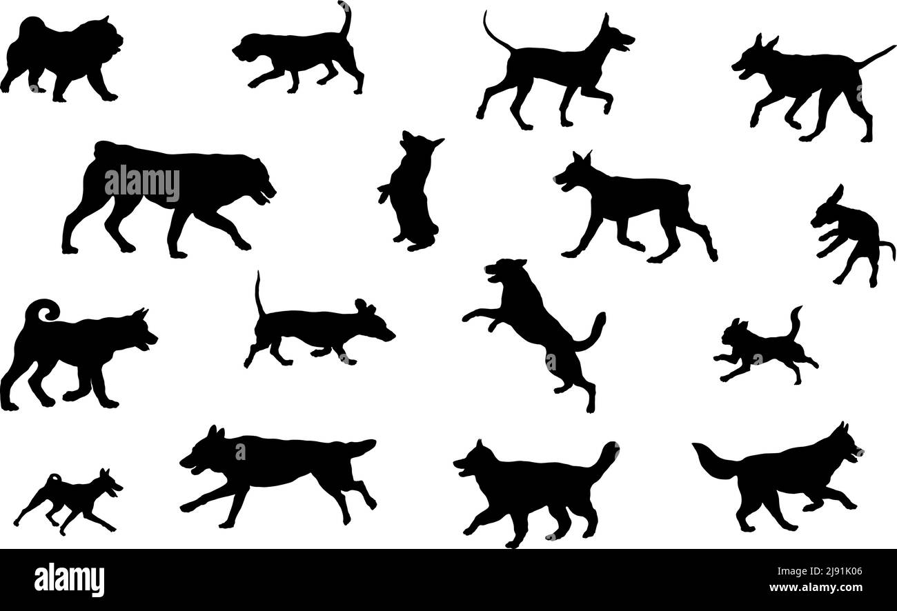 Groupe de chiens de différentes races. Silhouette de chien noire. Chiens de course, debout, marchant, sautant. Isolé sur un fond blanc. Animaux de compagnie. Vecteur. Illustration de Vecteur Groupe de chiens de différentes races. Silhouette de chien noire. Chiens de course, debout, marchant, sautant. Isolé sur un fond blanc. Animaux de compagnie. Vecteur. Illustration de Vecteur