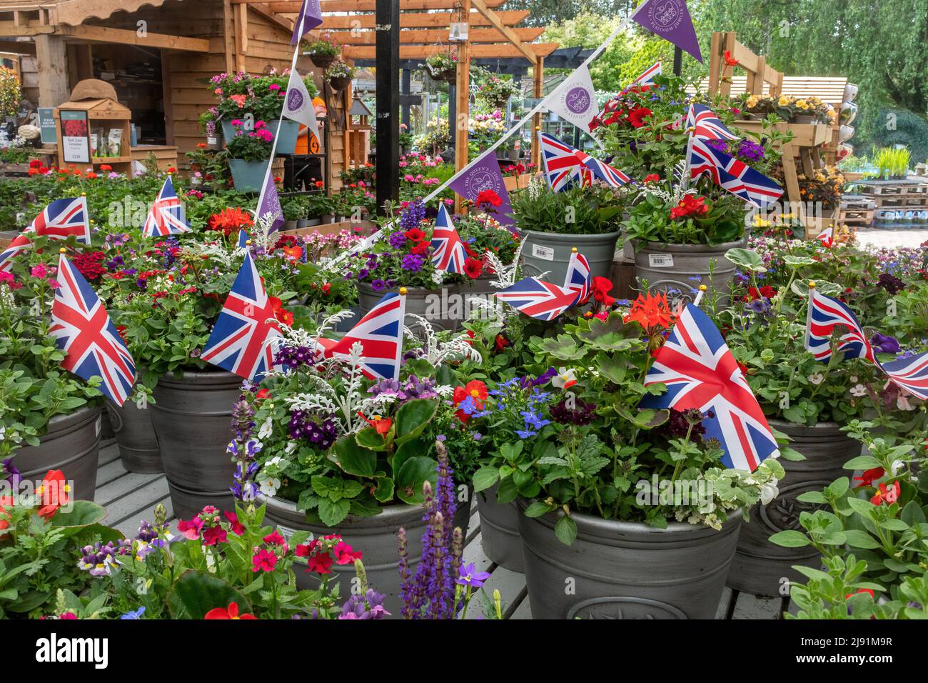 Pots de fleurs et de plantes avec drapeaux de l'Union Jack à l'occasion du Jubilé de platine de la Reine en 2022, Millets Farm Garden Center, Angleterre, Royaume-Uni Banque D'Images