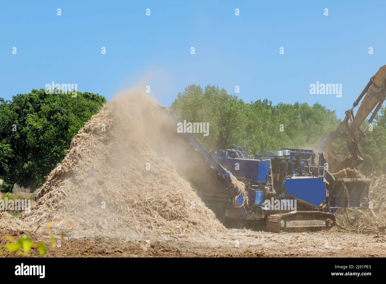 Déchiqueteuse industrielle un convoyeur de travail le déchiquetage des racines de la production de copeaux de bois Banque D'Images