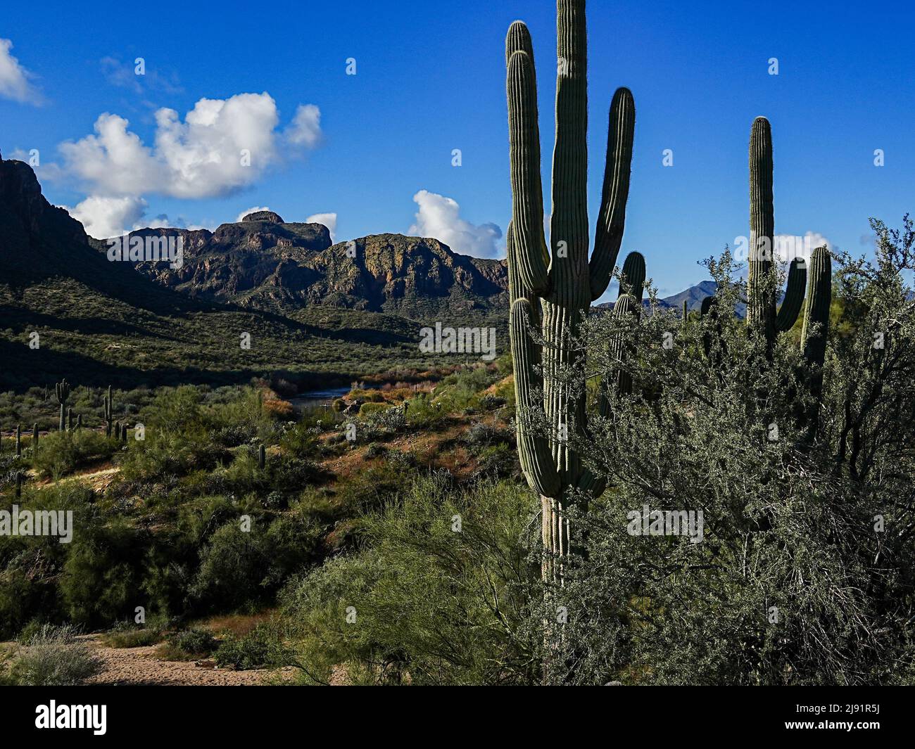 Le site de loisirs Water Users Recreation, au nord-est de Phoenix, en Arizona, est magnifique et robuste Banque D'Images