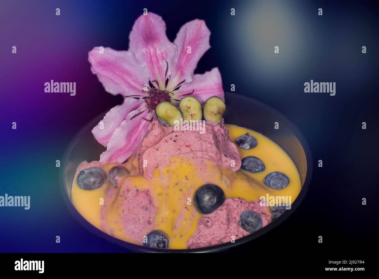 Crème glacée de myrtille européenne fraîche (Vaccinium myrtillus) avec liqueur d'oeuf et un clématis (Nelly Moser) comme décoration, studio de photographie avec Banque D'Images