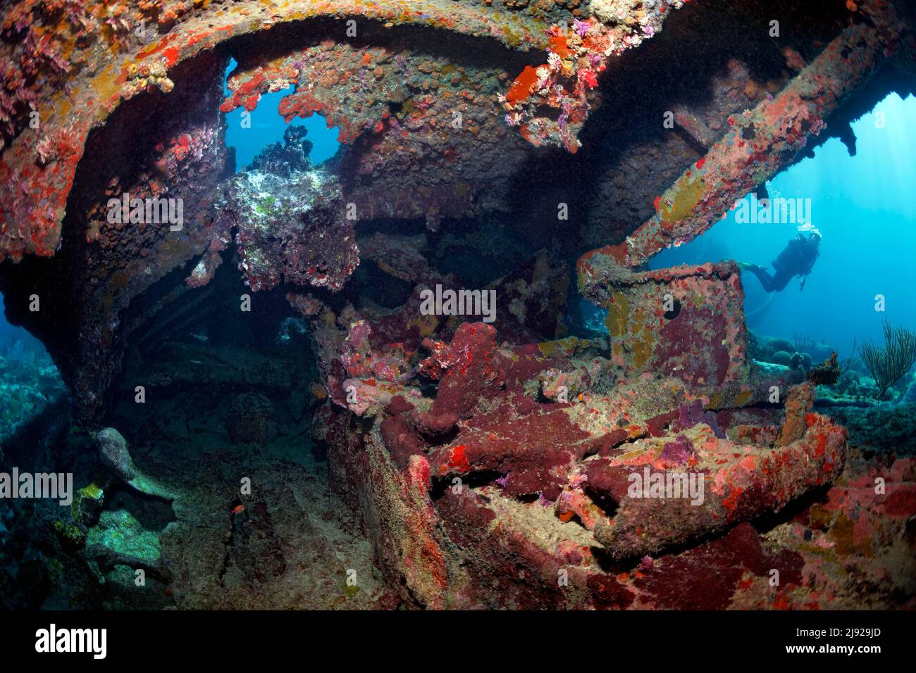 Plongeur, naufrage, épave sur fond sablonneux, croiseur blindé espagnol Christobal Colon, a échoué dans la bataille navale au large de Santiago de Cuba le 03 juillet Banque D'Images