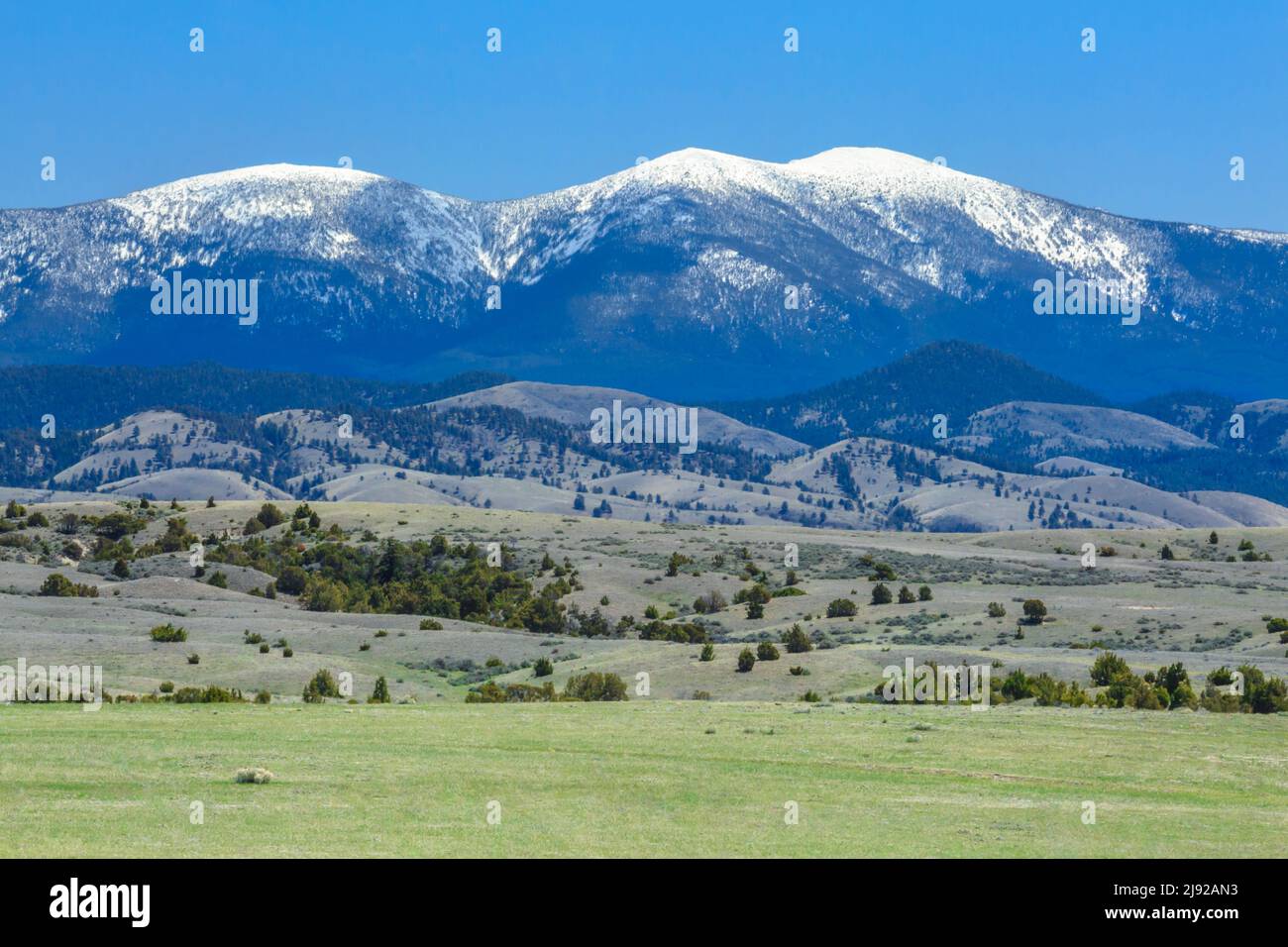 mont baldy dans les grandes montagnes de ceinture au-dessus des contreforts près de townsend, montana Banque D'Images