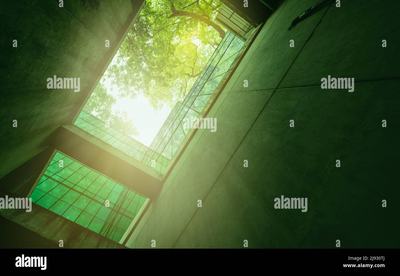 Bâtiment écologique dans la ville moderne.Bâtiment de bureau durable en verre avec arbre pour réduire la chaleur et le dioxyde de carbone.Bâtiment de bureau avec vert Banque D'Images