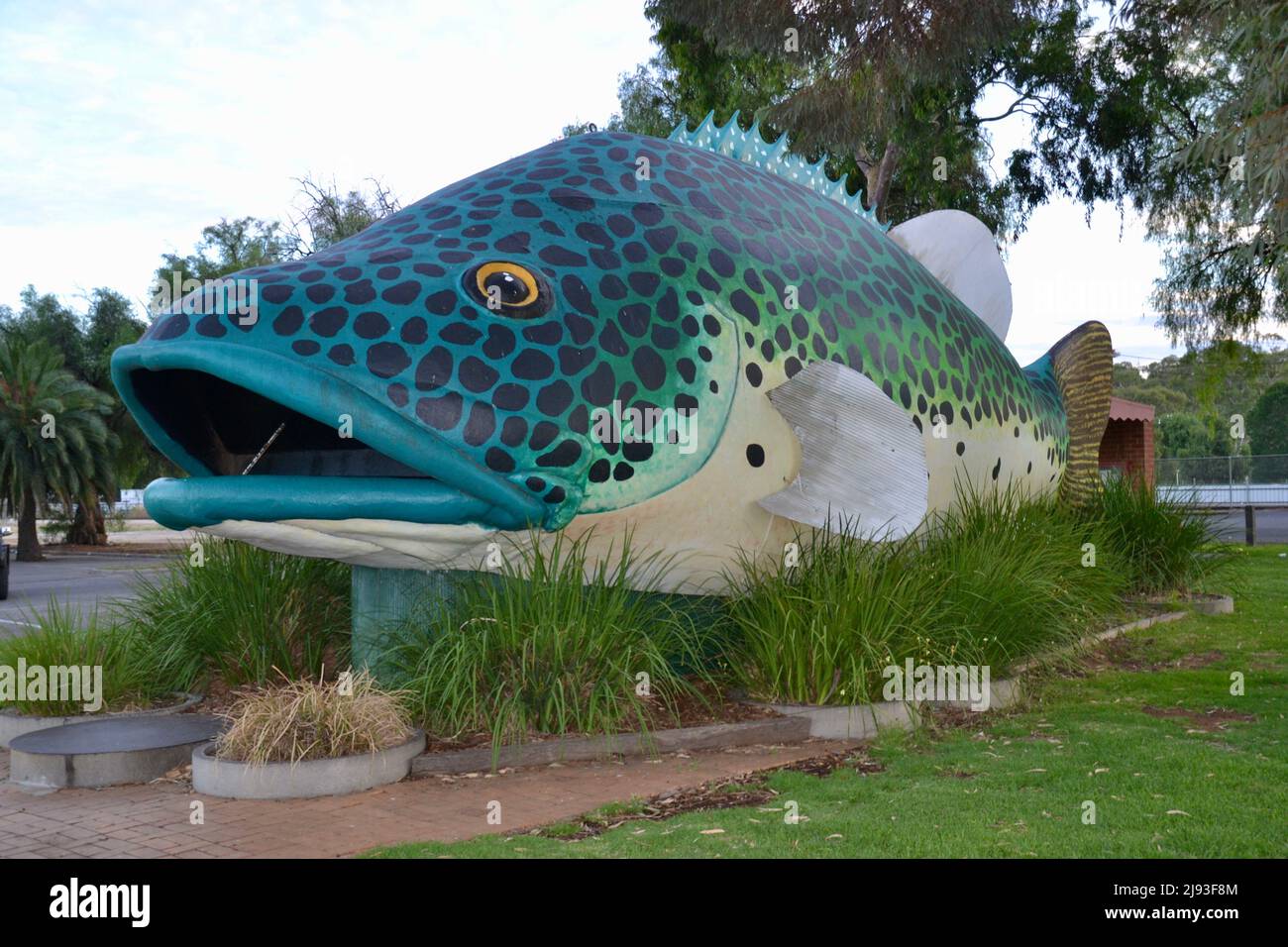 La sculpture de poisson de morue de Murray River est l'une des grandes choses d'Australie dans la ville de Swan Hill, dans l'Outback, à Victoria Banque D'Images