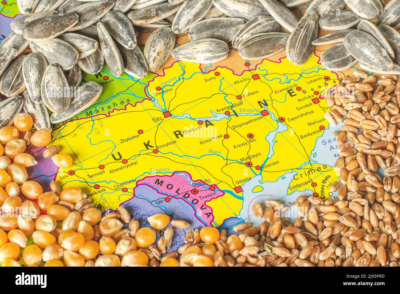 Céréales de blé sur la carte de l'Ukraine, crise des céréales en Ukraine, concept de crise mondiale de la faim due à la guerre Banque D'Images