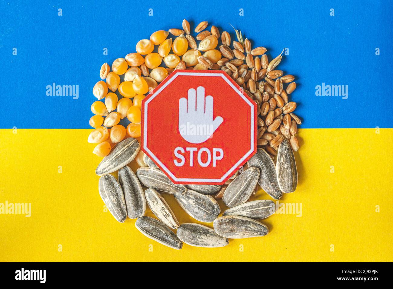 Céréales de blé, maïs et graines de tournesol sur le drapeau jaune et bleu de l'Ukraine avec signe d'arrêt, crise des céréales en Ukraine, concept de crise mondiale de la faim Banque D'Images