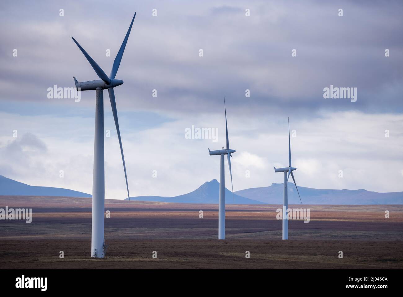 Parc éolien de Sibster Burn, Halkirk, Caithness, Écosse, Royaume-Uni Banque D'Images