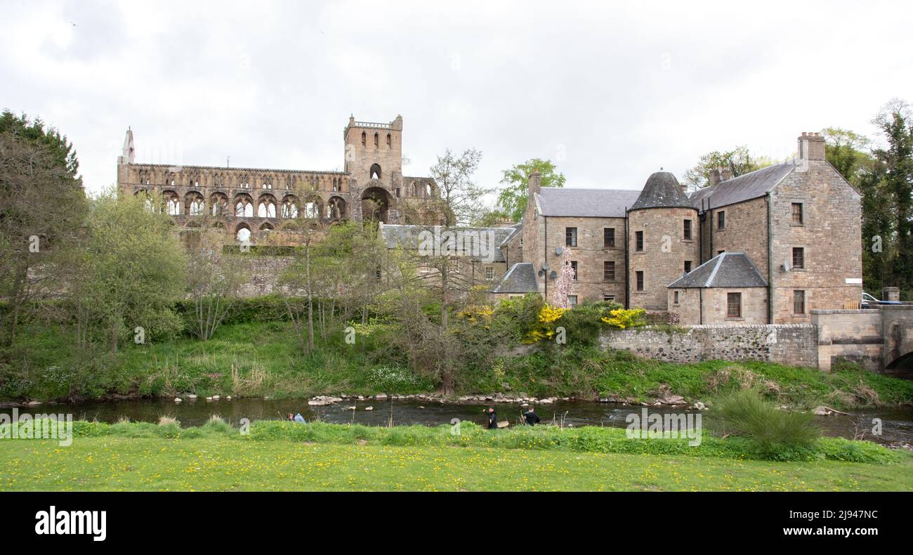 Abbaye de Jedburgh Banque D'Images