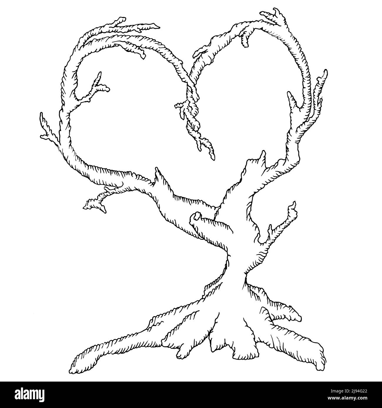 Illustration d'un vieux arbre avec une forme de coeur comme symbole d'amour, concept d'amour, de paix ou de liberté, illustration vectorielle Illustration de Vecteur