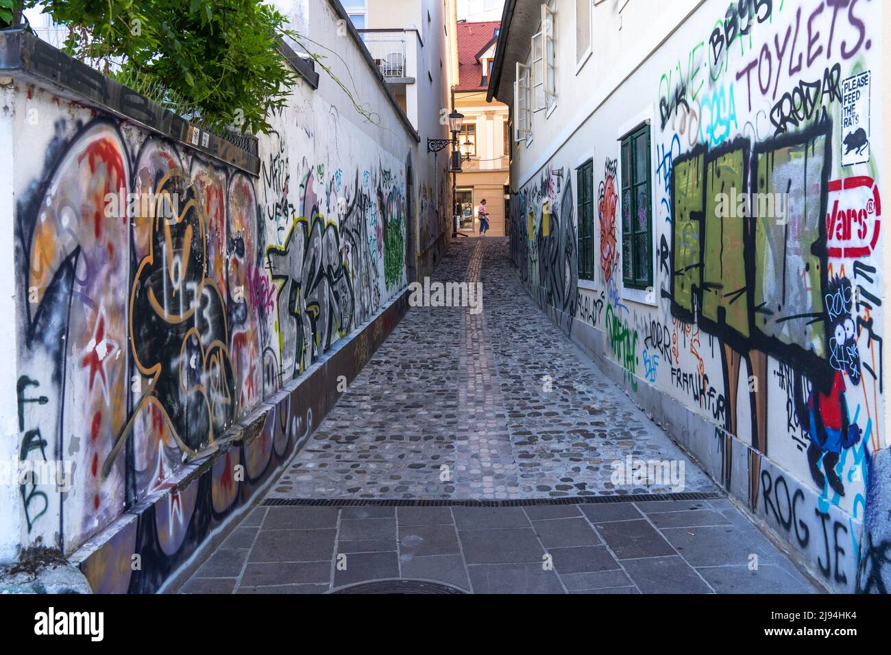 Ljubljana, Slovénie - 07.15.2021: Rue étroite de Ljubljana couverte de graffiti Banque D'Images