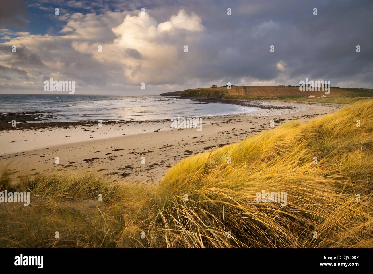 Taraciff Bay at Dawn, Mainland, Orkney Isles, Écosse, Royaume-Uni Banque D'Images