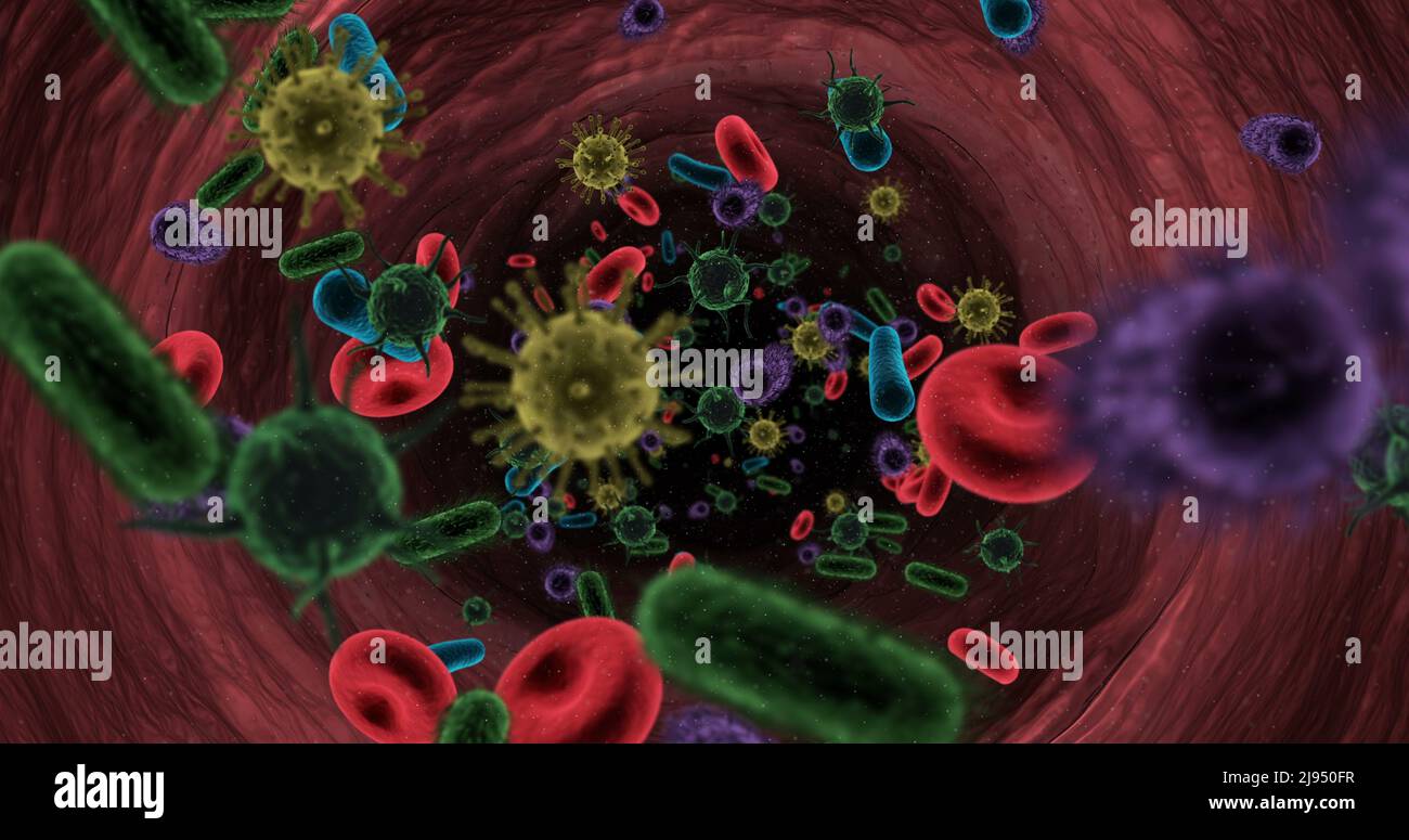 Cellules virales générées numériquement, globules rouges et bactéries traversant l'artère Banque D'Images