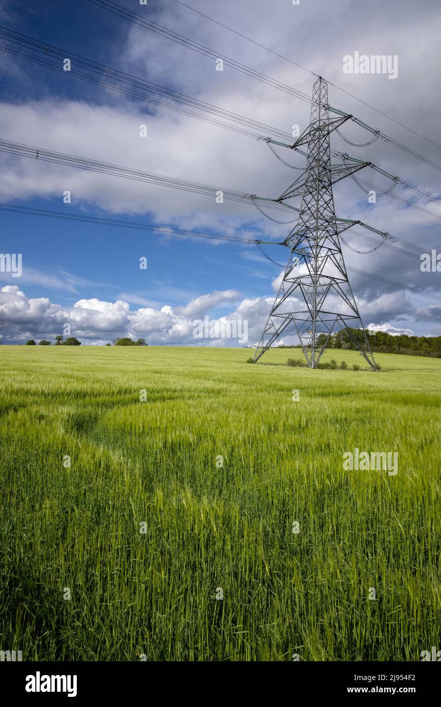 Electricity Pylon, Bedfordshire, Angleterre, Royaume-Uni Banque D'Images