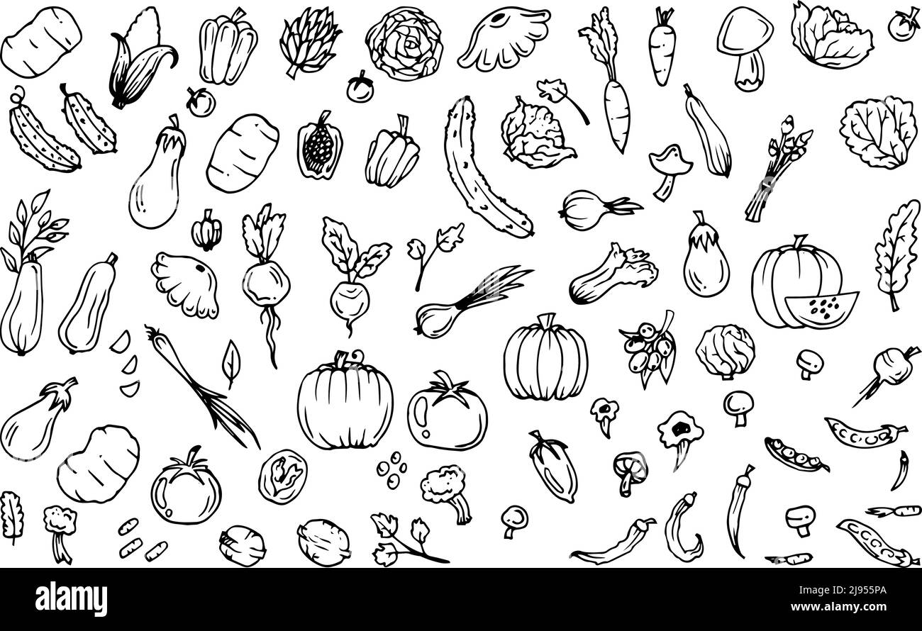 Légumes délicieux. Fruits de jardin. Plantes alimentaires comestibles. Contour tracé à la main. Mise en plan monochrome. Motif sans couture. Isolé sur fond blanc Illustration de Vecteur