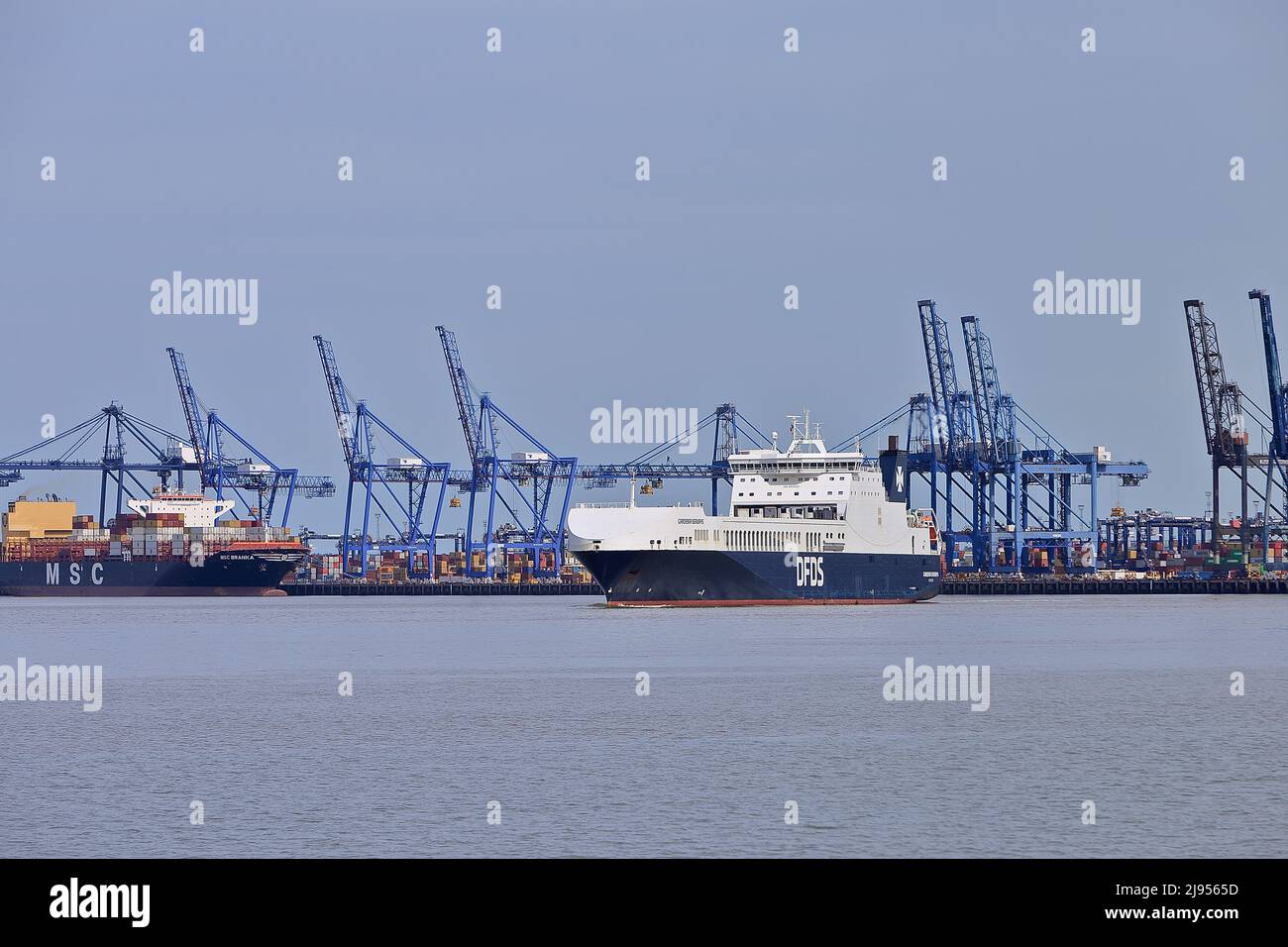 RO-RO (Roll On - Roll Off) cargo Gardenia Seaways quittant le port de Felixstowe, Suffolk, Royaume-Uni. Banque D'Images