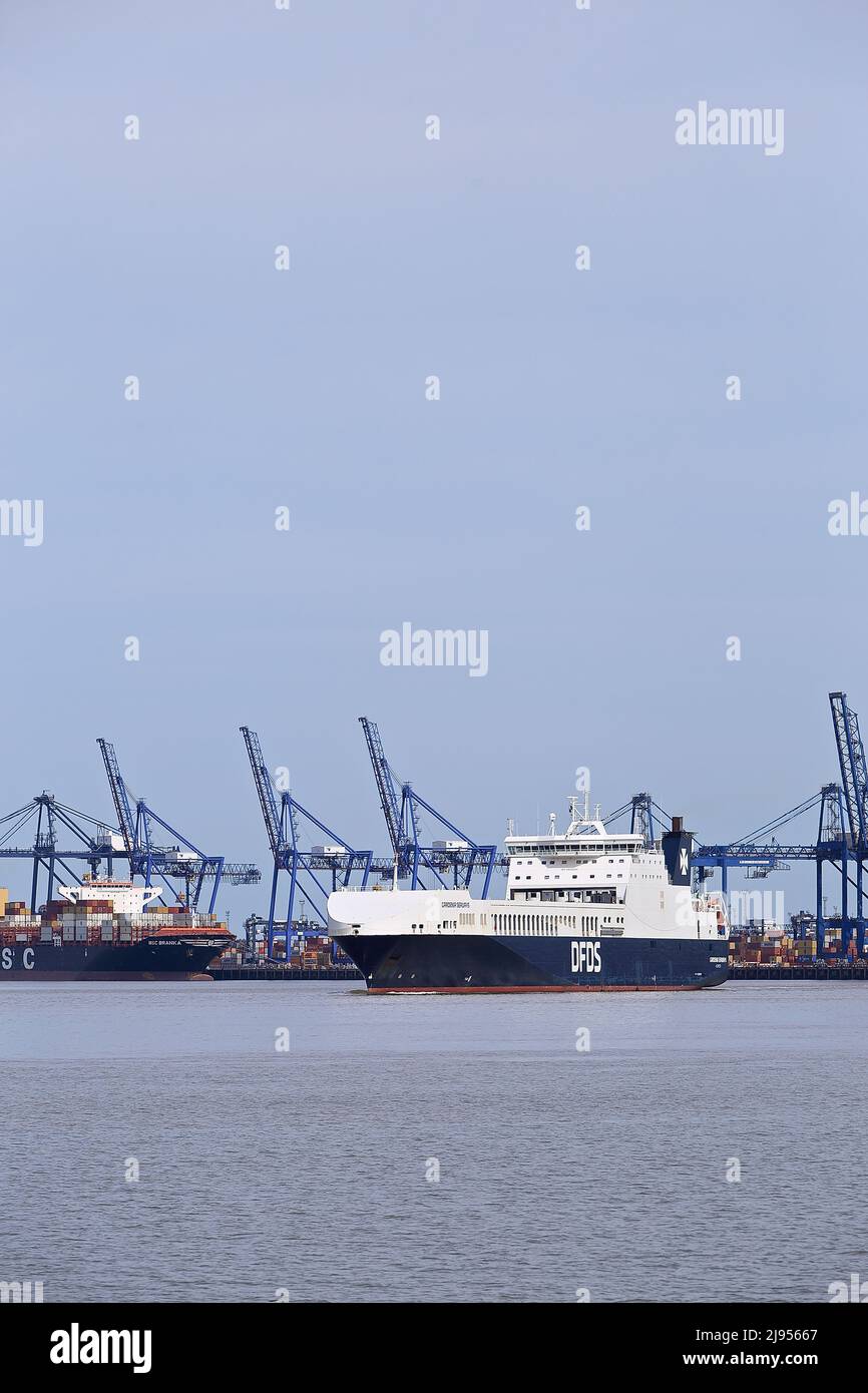 RO-RO (Roll On - Roll Off) cargo Gardenia Seaways quittant le port de Felixstowe, Suffolk, Royaume-Uni. Banque D'Images
