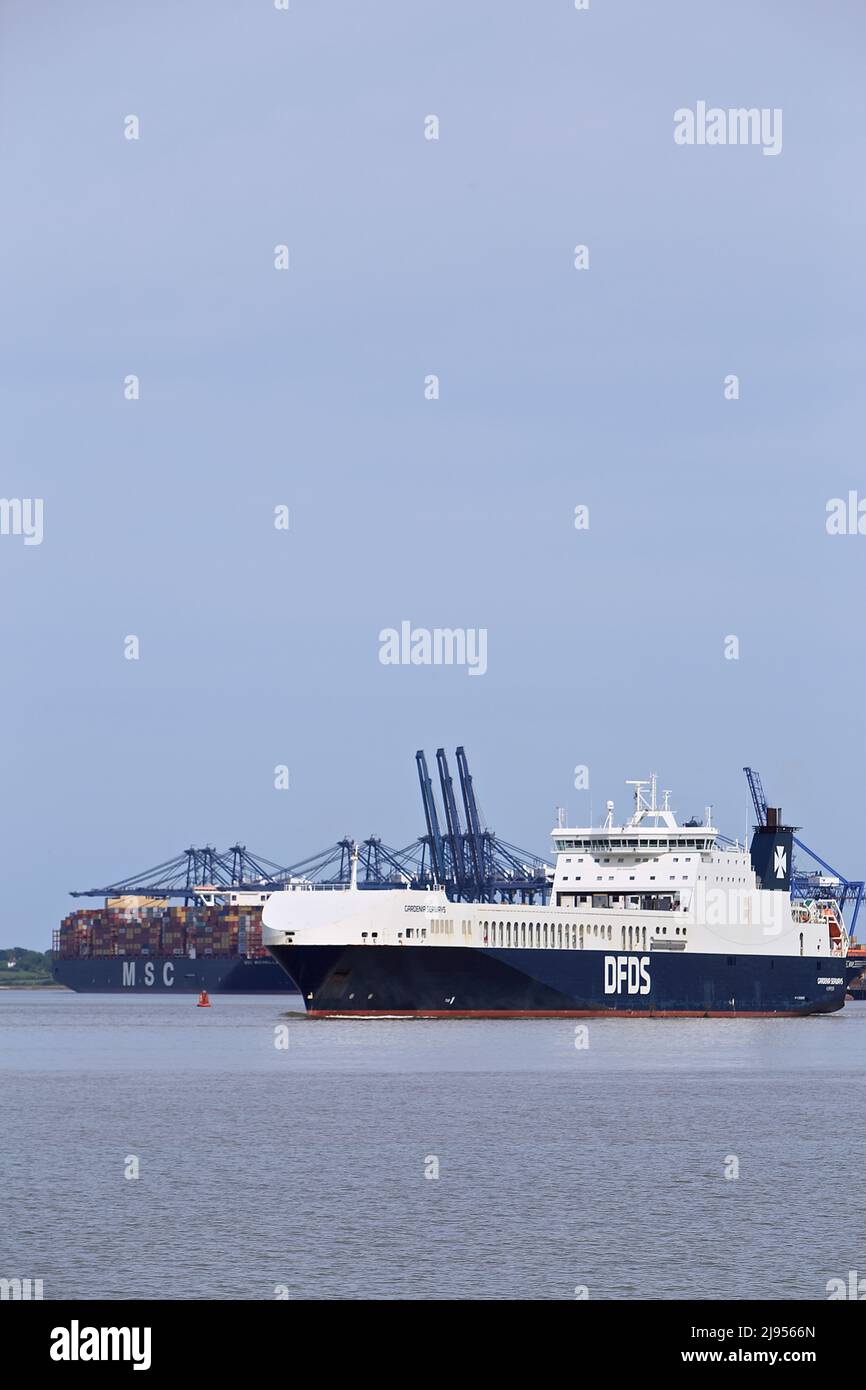 RO-RO (Roll On - Roll Off) cargo Gardenia Seaways quittant le port de Felixstowe, Suffolk, Royaume-Uni. Banque D'Images